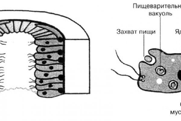 2krn at официальный