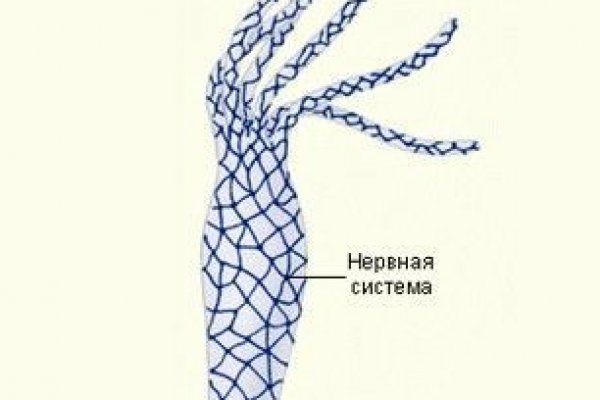 Магазины с наркотиками